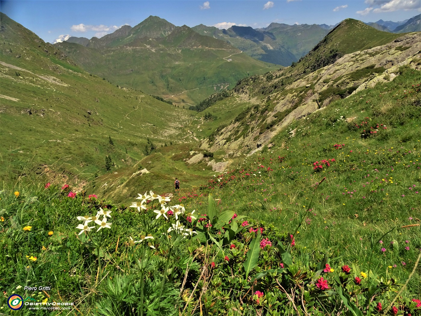 69 Scendendo su traccia fiorita in Val Ponteranica.JPG